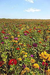 《燕云十六声》不会搞女性擦边 新敌人河伯来袭！